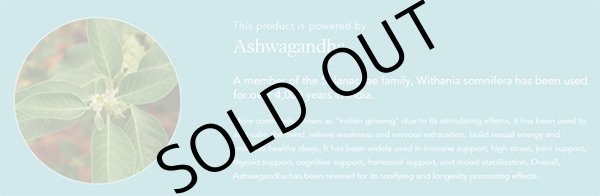 画像4: ASHWAGANDHA (60 capsules) (4)