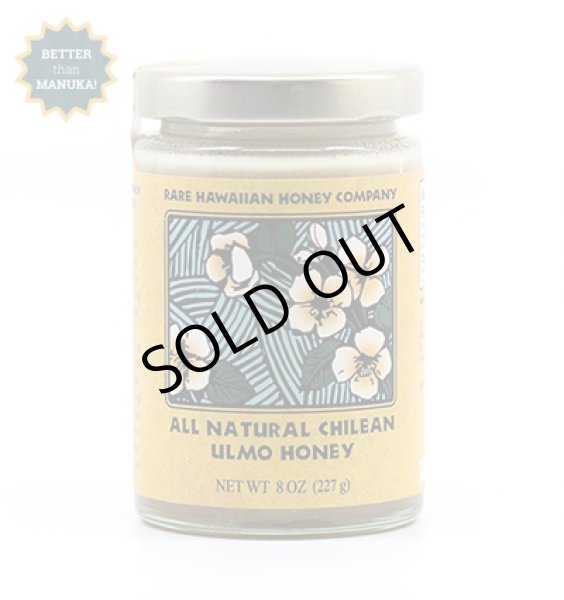 画像1: All Natural Chilean Ulmo Honey (1 Jar) (1)