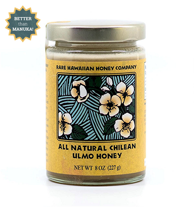 All Natural Chilean Ulmo Honey (1 Jar)